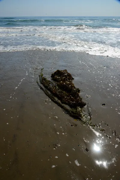 DSC_2545 (Large).JPG